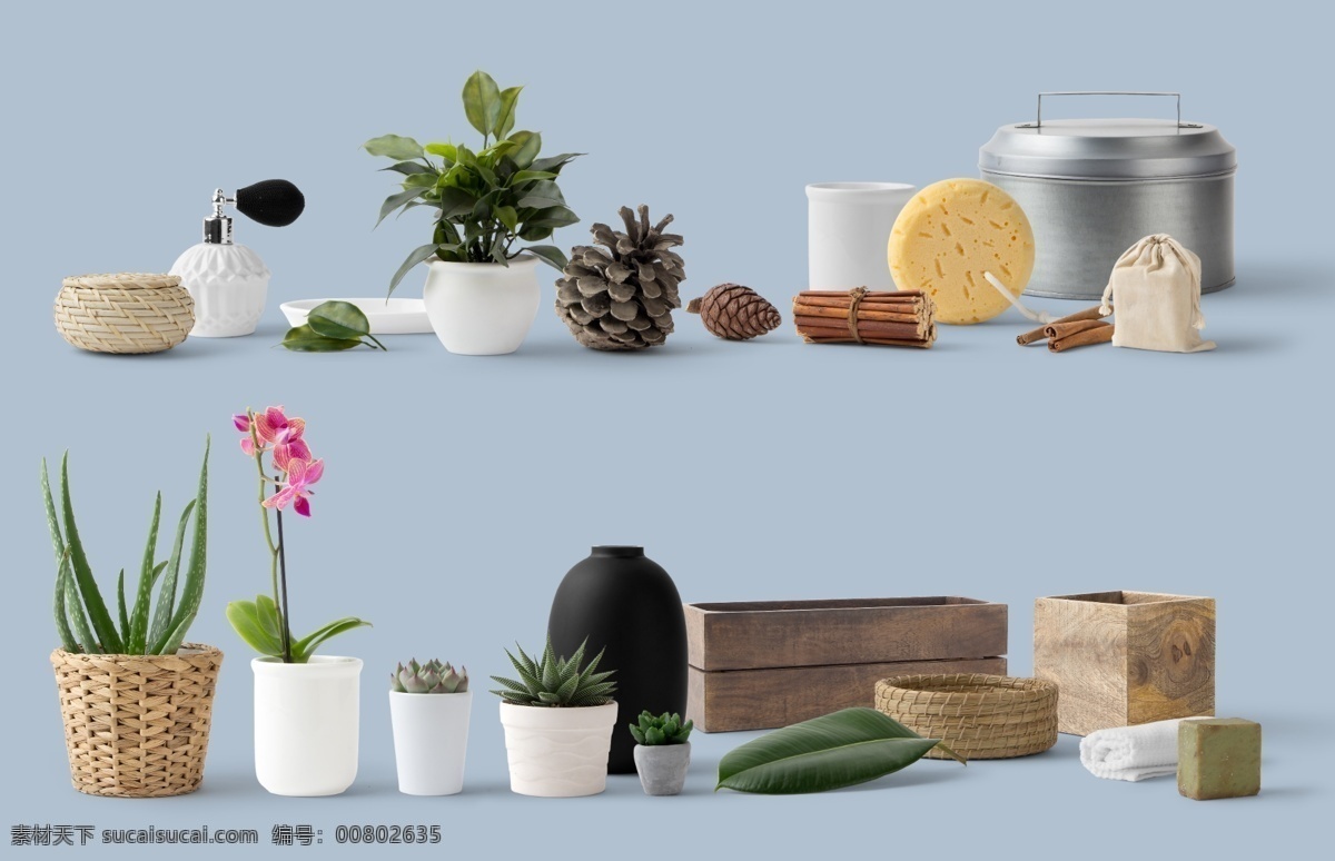化妝用品 植物樣機 化妝品樣機 美容 化妝品 蘆薈 盆栽 松果 藥材 竹編 多肉 葉子 肥皂 白色罐子 粉撲 刷子 spa 海綿 數(shù)字 花瓶 飾品 擺設(shè) 精油 護膚 品牌 vi展示元素 vi樣機模板