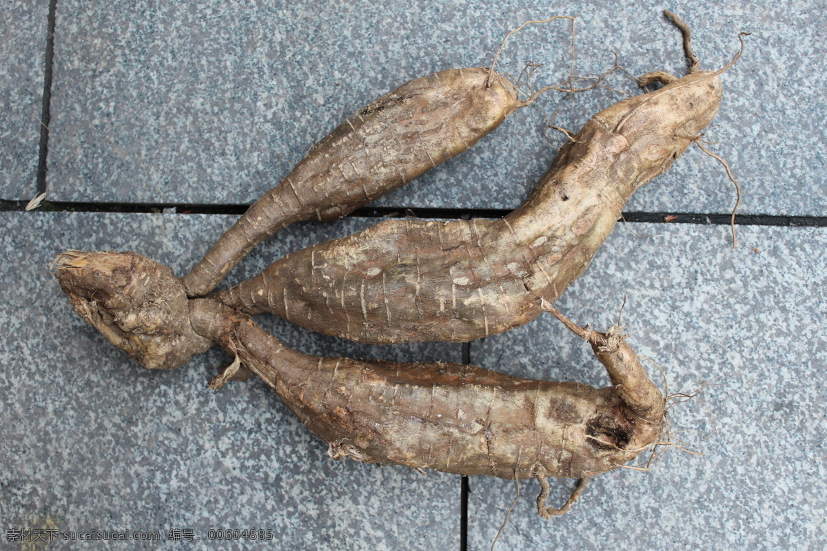 野生 葛根 粉 土特產(chǎn) 葛根粉 江西特產(chǎn) 宜豐特產(chǎn) 宜春特產(chǎn) 野生葛根 餐飲美食 食物原料