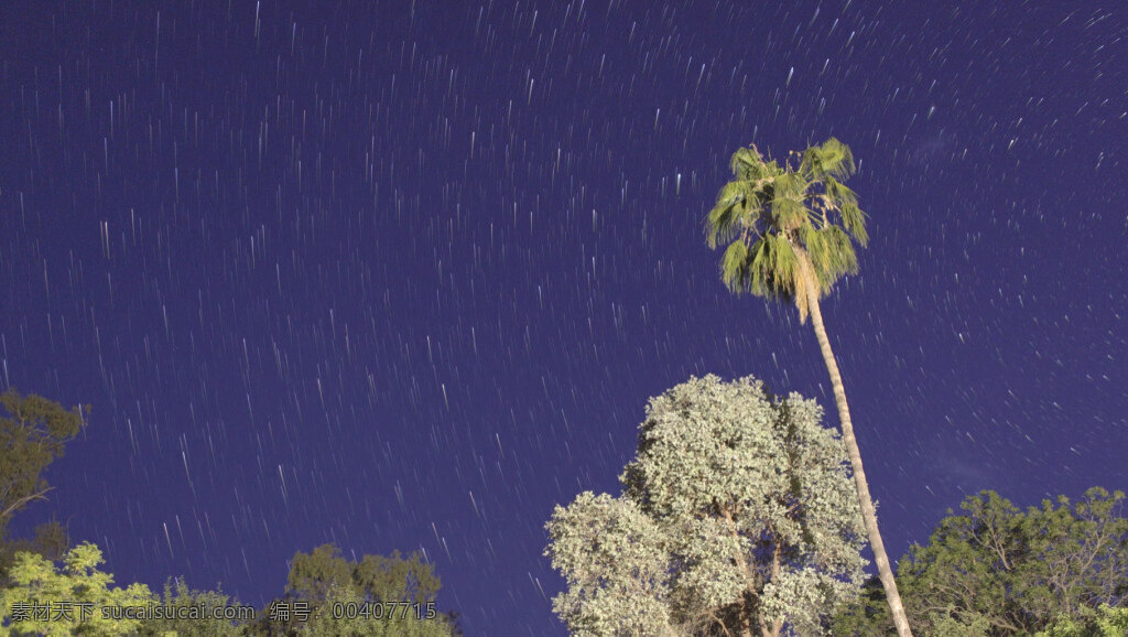 夜晚 星光 轉(zhuǎn)動(dòng) 下 大樹(shù) 動(dòng)態(tài) 實(shí)拍 視頻 景色 自然
