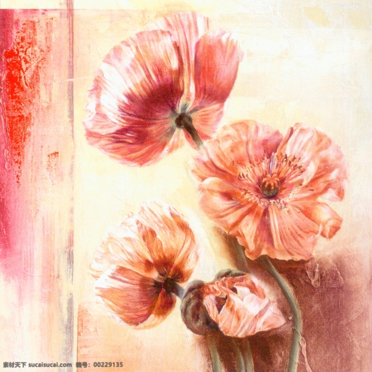 花卉油画 60厘米 x 花 花卉 手绘 油画 装饰画 无框画 扫描 大图 清晰 写真 喷绘 印刷 植物 花朵 抽象 写生 罂粟 特写 绘画书法 文化艺术