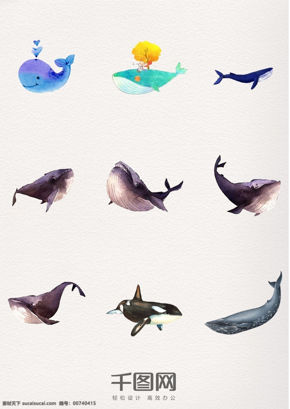 水彩 鲸鱼 装饰 图案 水彩鲸鱼图案 彩绘鲸鱼 彩绘 鱼 彩绘图案
