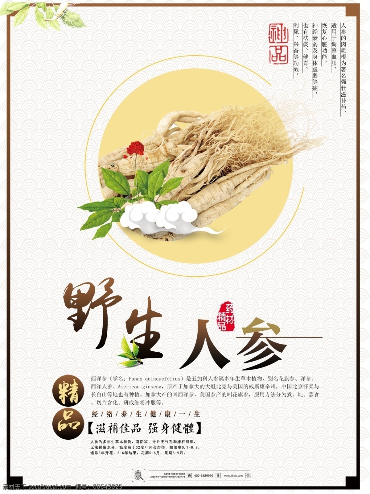 人參 補(bǔ)品 千年人參 人參枸杞 中藥人參 補(bǔ)品人參 野人參 人參果樹(shù) 長(zhǎng)白山人參 人參雞湯 人參花 高麗野人參 人參展板