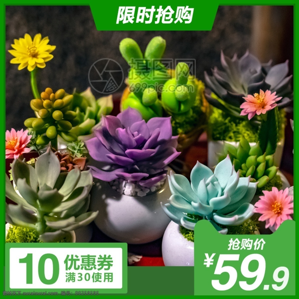 肉 植物 促銷 淘寶 主 圖 可愛園藝 多肉植物 自然美 色彩 花 主圖 電商主圖 淘寶主圖 天貓主圖 淘寶直通車 電商 天貓