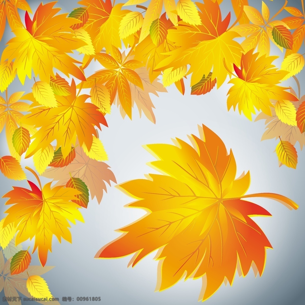 秋天 紅葉 設置 紅色 秋 媒介生物學 矢量植物秋 leavesvectorgraph 矢量圖 其他矢量圖