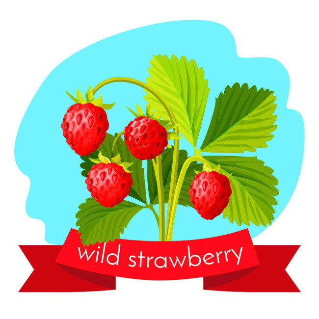 卡通草莓漫画 水果 漫画 卡通漫画 矢量 商业插画 卡通插画 红色 丝带 草莓 草莓树