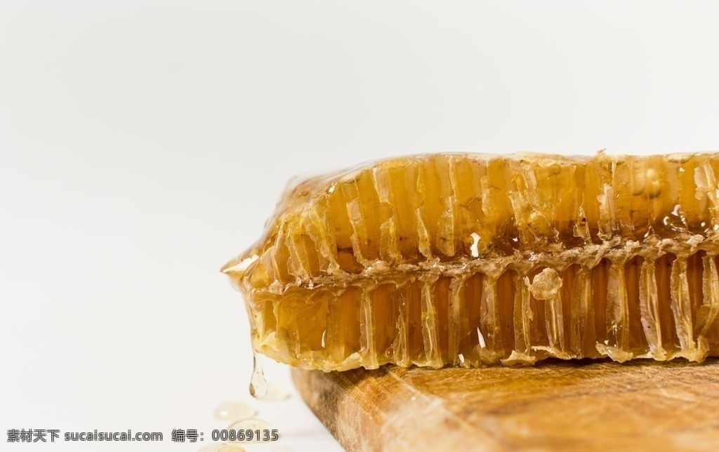 蜂蜜蜂蜡图片 蜂巢 巢蜜 蜂窝 土蜂蜜 蜂蜡 餐饮美食 传统美食
