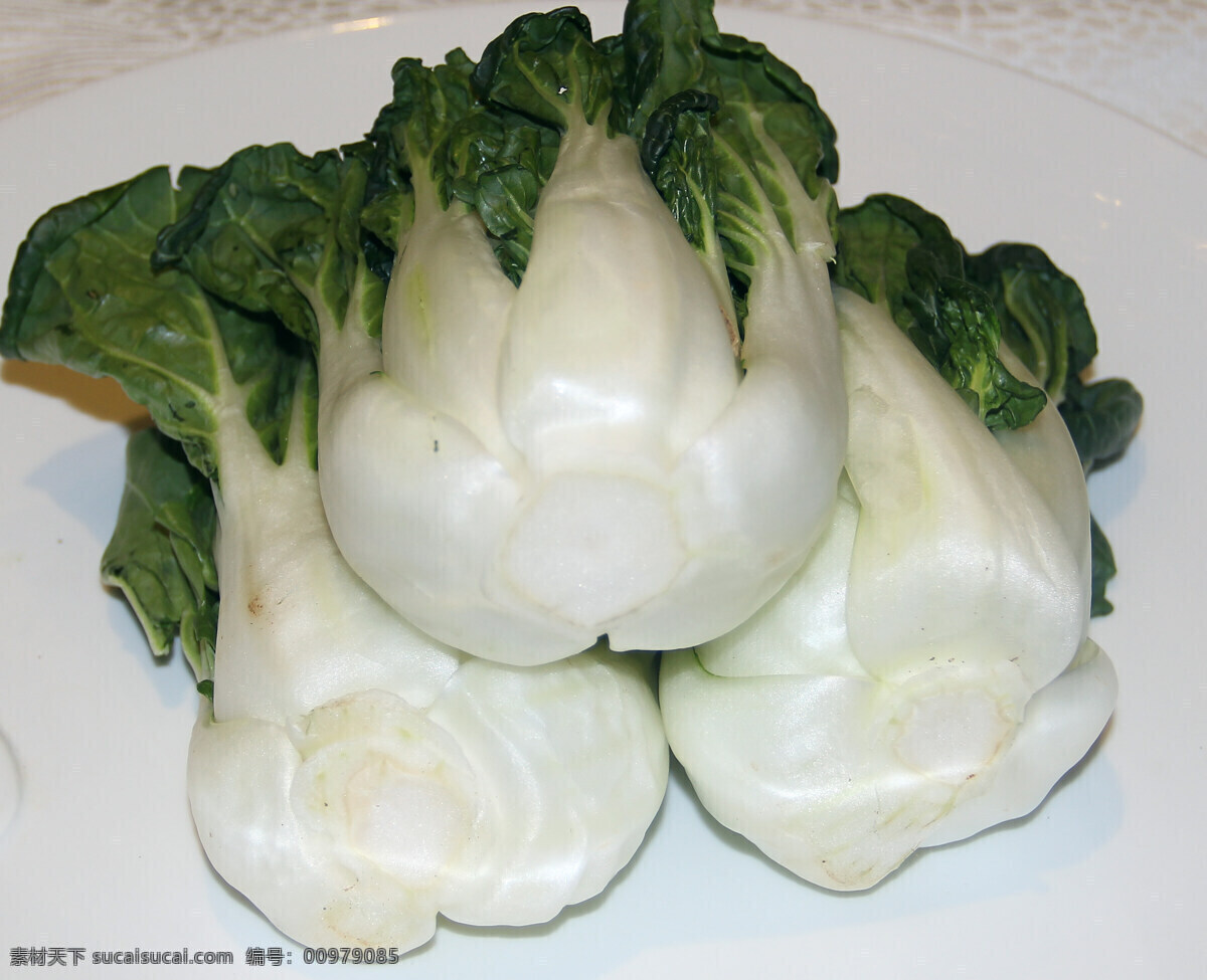 蔬菜免費下載 安全 健康 綠色 生物世界 蔬菜 新鮮 未加工 奶白菜
