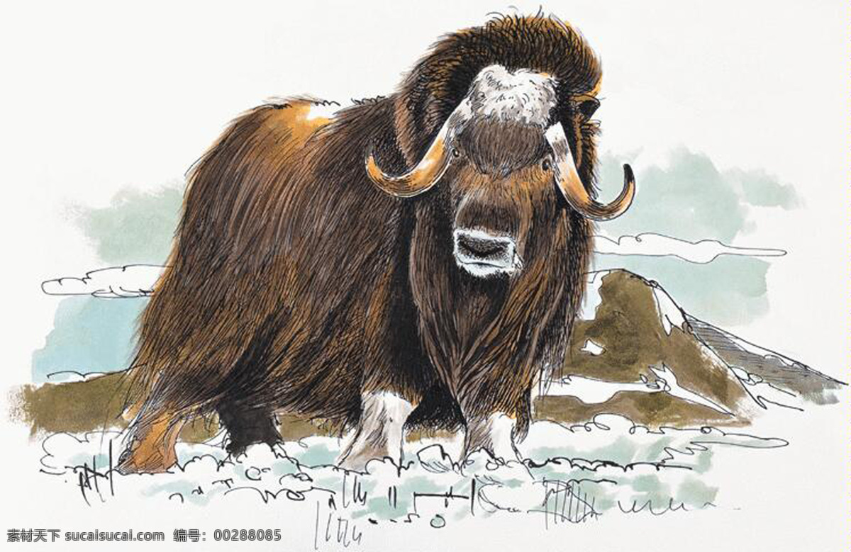 牛 動(dòng)物插圖11 設(shè)計(jì)素材 其它動(dòng)物 動(dòng)物插圖 書(shū)畫(huà)美術(shù) 白色
