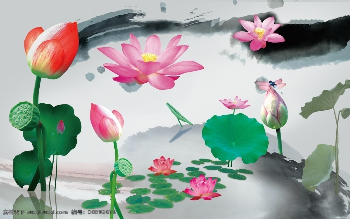 荷花 透明 元素 水墨 現(xiàn)實 集合 荷葉 蓮蓬 魚 大文件 分層