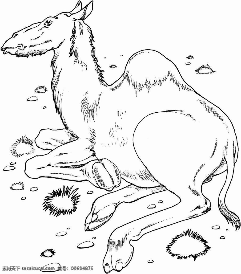 手繪動物畫 動物素描 動物手繪畫 設(shè)計素材 動物專輯 素描速寫 書畫美術(shù) 白色