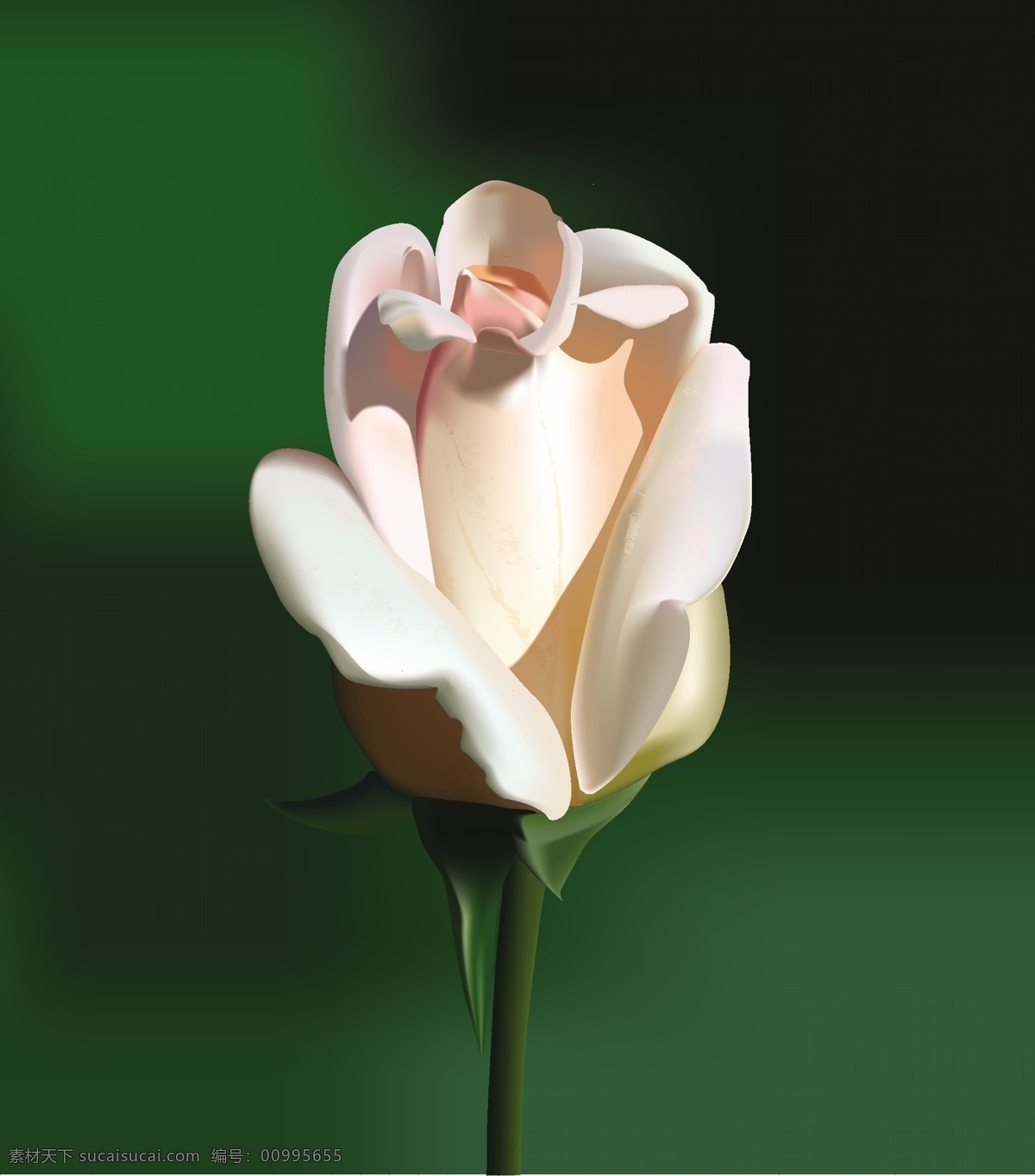 炫彩 花朵 玫瑰 免費(fèi)模版下載 免費(fèi)素材 漂亮的花 矢量圖 花紋花邊