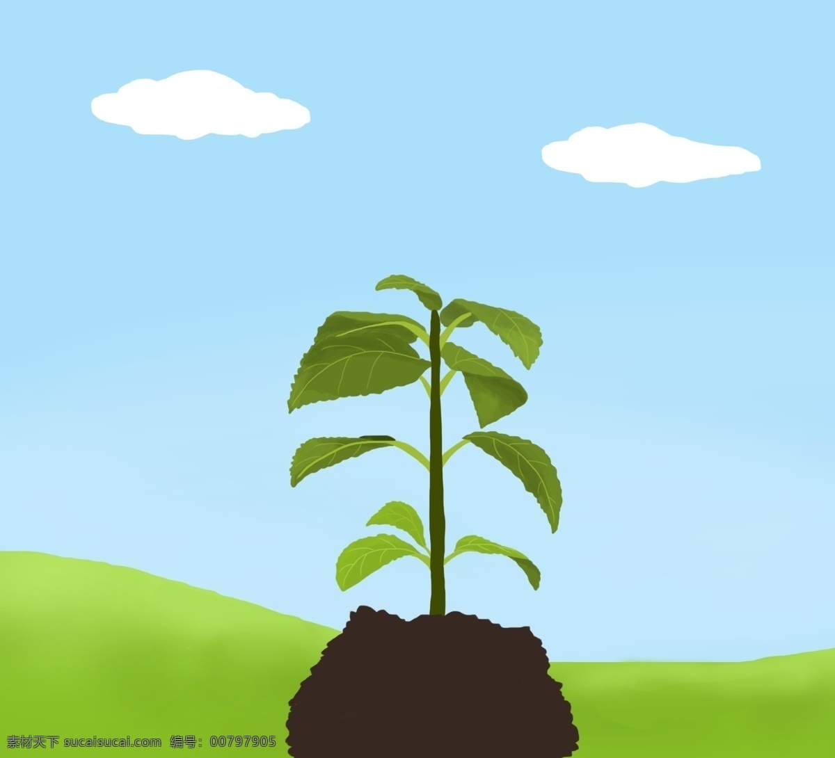 植樹節(jié) 樹苗 小樹苗 春天 綠草地 藍(lán)天 白云 插畫 手繪 綠色 希望 土地 葉子 新葉子 發(fā)芽