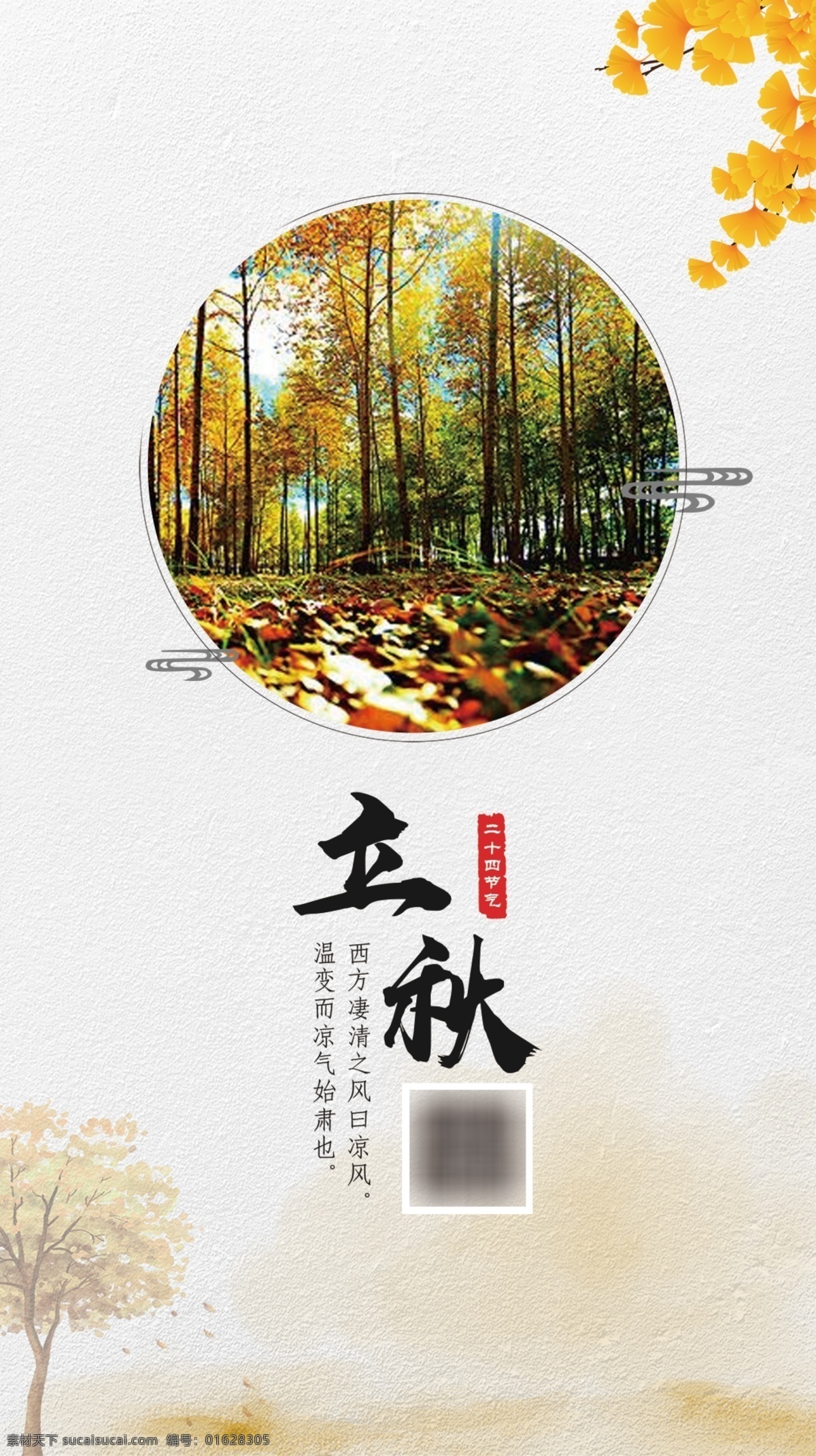 清新 立秋 節(jié)氣 海報 二十四節(jié)氣 涼風 落葉 秋天 銀杏葉