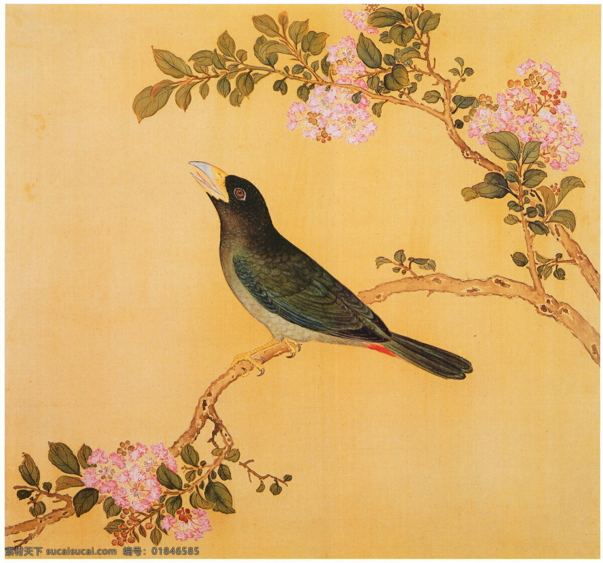 復(fù)古 花鳥(niǎo) 工筆畫(huà) 清 余省 臨鳥(niǎo)譜 涂鴉畫(huà) 花卉圖 花卉 鳥(niǎo)雀 風(fēng)景畫(huà) 花卉寫(xiě)生 植物花朵繪畫(huà) 裝飾畫(huà) 中國(guó)風(fēng) 花草繪畫(huà) 蝴蝶昆蟲(chóng)繪畫(huà) 復(fù)古繪畫(huà) 名家繪畫(huà) 清代畫(huà)家 花卉集 字畫(huà) 水彩植物 花鳥(niǎo)冊(cè) 中國(guó)畫(huà) 工筆畫(huà)鳥(niǎo) 工筆 古代 花鳥(niǎo)魚(yú)蟲(chóng) 植物圖譜 植物圖集 畫(huà)家繪畫(huà) 樹(shù)枝 歷代 國(guó)畫(huà) 文化藝術(shù) 繪畫(huà)書(shū)法