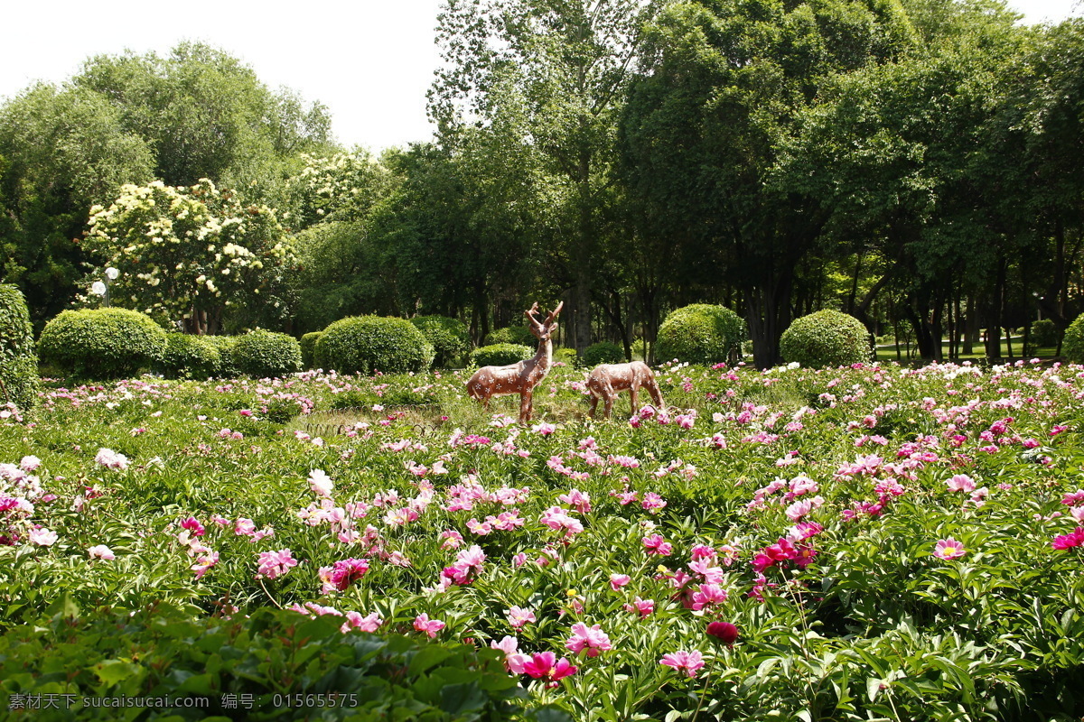 公園 景色 風(fēng)景 風(fēng)景畫 美麗風(fēng)景 園林景觀 自然風(fēng)景 自然景觀 公園景色 鹿樹 家居裝飾素材 山水風(fēng)景畫