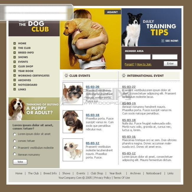 flash 网站 模板 网页模板 个人网站模板 韩国网站模板 企业网站 模板下载 宠物 韩国 欧美 源代码 精选 网页素材