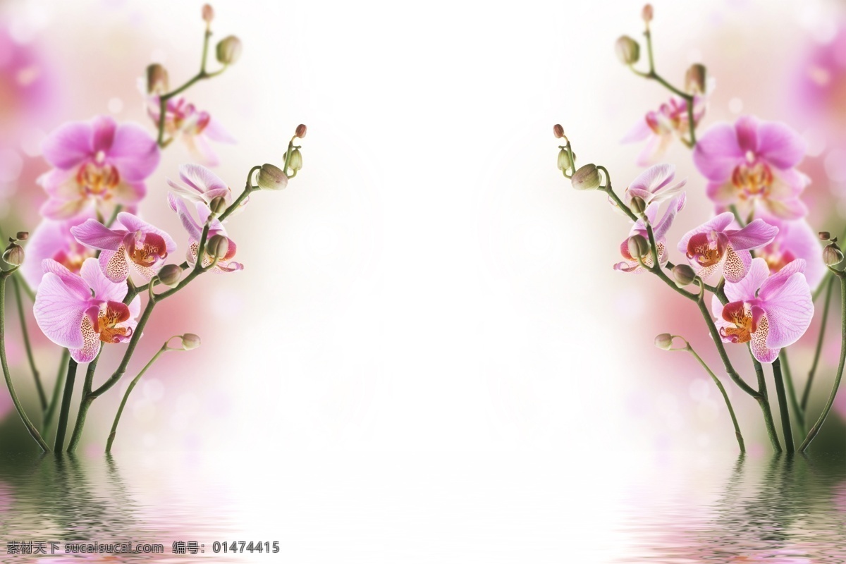 3d 立 蘭花 電視 背景 墻 臥室壁畫 3d立體 空間蘭花 背景墻 臥室背景 粉色花朵 背景壁畫 分層 壁畫