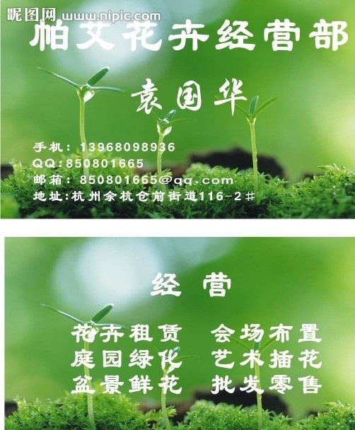 植物名片 植物 綠芽 綠色背景 名片 春天 矢量