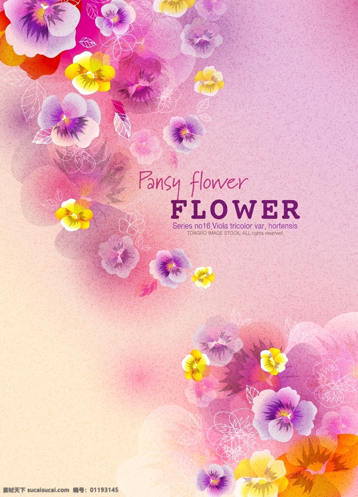 浪漫花背景 紫色 粉色 背景 花 flower 卡片