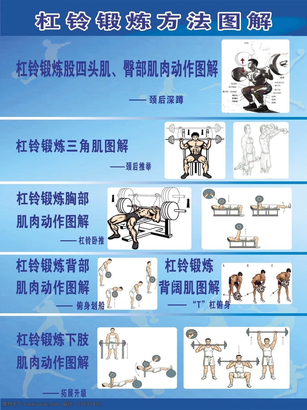 杠鈴 鍛煉 方法 圖解 鍛煉方法 步驟 健身 健美 舉重