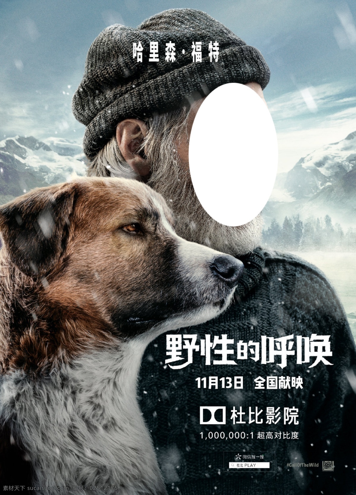 野性的呼唤 电影图片 电影 冒险 阿拉斯加 雪橇犬 雪山 狗群 创意
