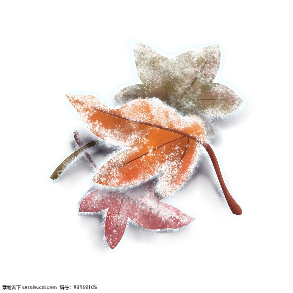 手繪 霜降 三 片 紅色 楓葉 樹葉 枯葉 落葉 手繪楓葉 三片 霜雪 裝飾圖案 霜降落葉