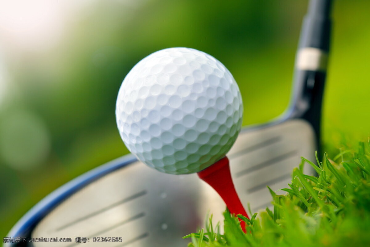高尔夫球特写 高尔夫球 高尔夫球杆 草地 绿地 体育运动 生活百科 绿色