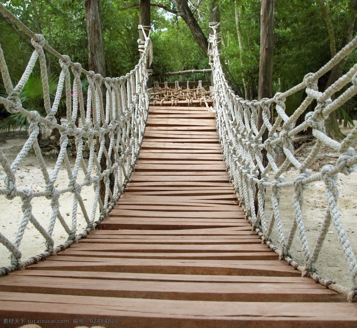 索桥 户外吊桥 木桥 自然风景 风光 木栈桥 自然风光 自然景观