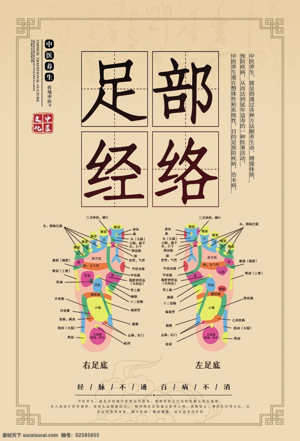 足部經(jīng)絡(luò)圖片 耳部反射區(qū) 足部反射區(qū) 手部反射區(qū) 耳部經(jīng)絡(luò) 耳部反射全息 耳部反射 耳部反射圖 手部反射圖 足部反射圖 經(jīng)絡(luò)穴位 反射區(qū)全息 經(jīng)絡(luò) 穴位 耳部穴位 足部穴位 手部穴位 人體穴位 反射區(qū) 全息圖 病癥對(duì)照?qǐng)D 耳朵穴位 經(jīng)絡(luò)圖 穴