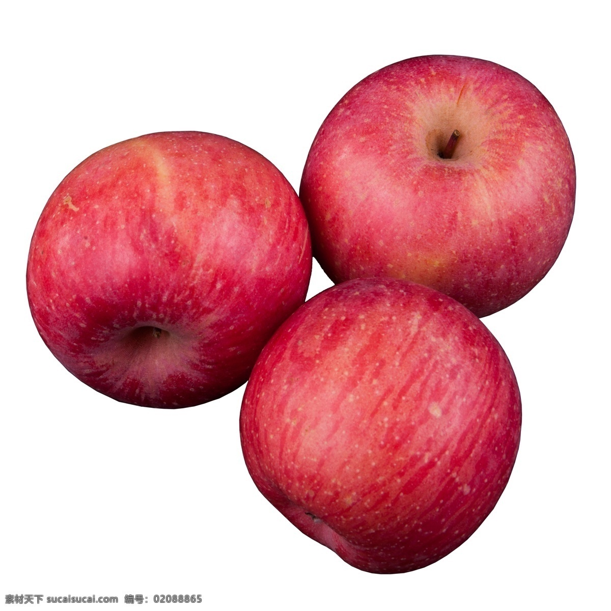 实拍 果林 果树 三个 水果 苹果 大红苹果 红富士苹果 大个红苹果 苹果果实 红色苹果果实