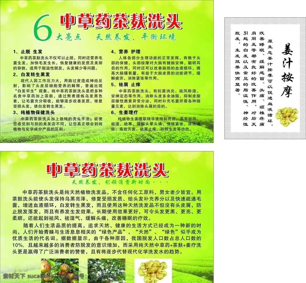 中草藥 茶麩 洗頭 茶麩洗頭 姜汁按摩 綠色背景 茶背景 生姜 茶子 茶子花
