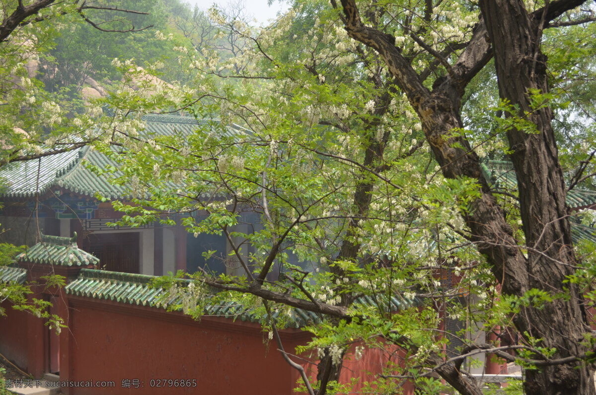 嵖岈山 駐馬店 風(fēng)景 綠色 自然風(fēng)光 風(fēng)景區(qū) 廟寺 嵖岈山風(fēng)景 國(guó)內(nèi)旅游 旅游攝影
