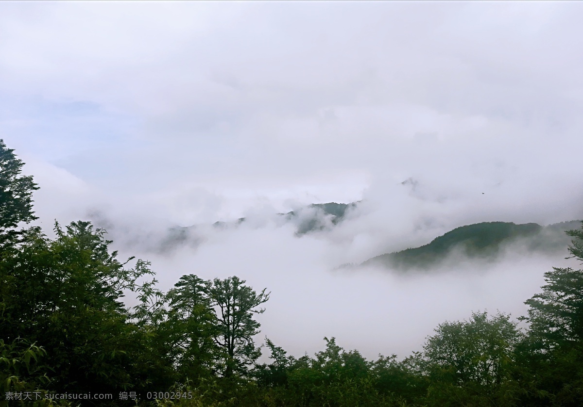 云海 自然風(fēng)光 高山草原 雪山 藍(lán)天白云 青草 旅游攝影 國(guó)內(nèi)旅游