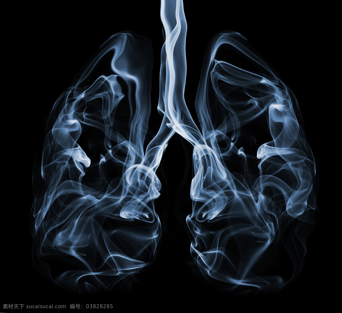 肺部造型高清 创意 概念 造型 男子 手 透明 银色 人体器官 肺部 肺片