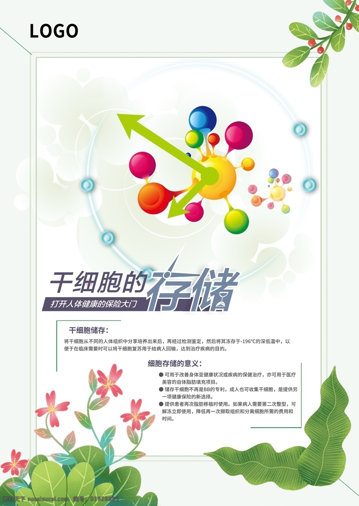 干細(xì)胞存儲(chǔ) 存儲(chǔ) 干細(xì)胞 細(xì)胞 健康 醫(yī)學(xué) 單頁 分層