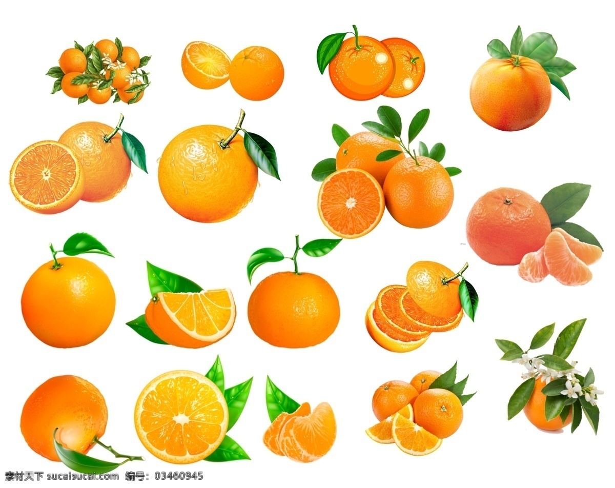 橘子 橙子 柑橘 沃柑 砂糖橘图片 砂糖橘 桔子 手绘 卡通