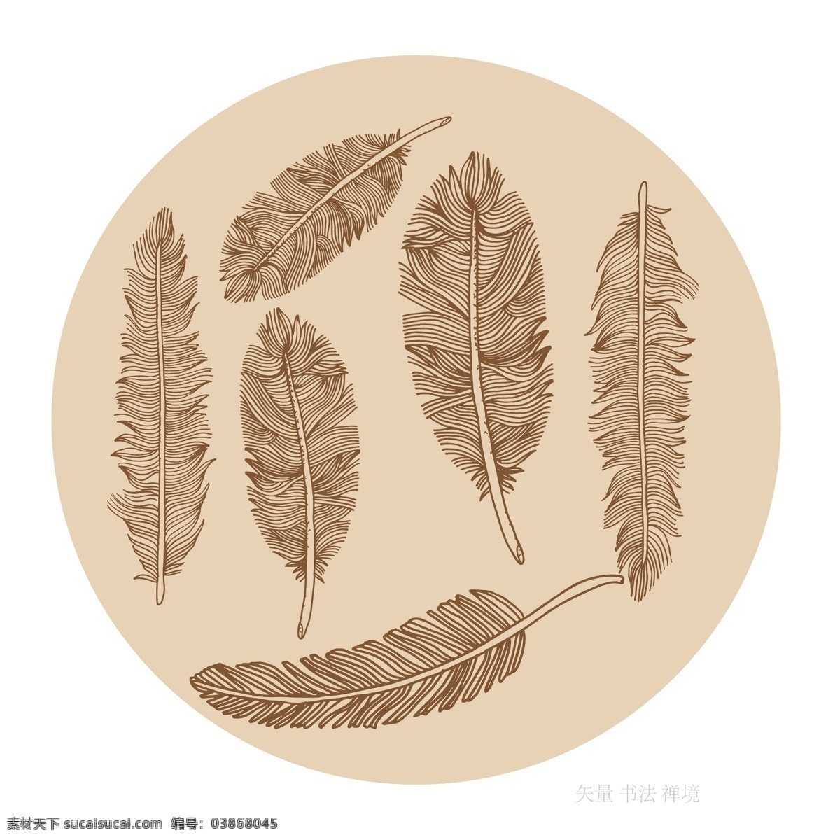 線描 羽毛 黑白羽毛 線描矢量羽毛 手繪羽毛 毛 孔雀羽毛