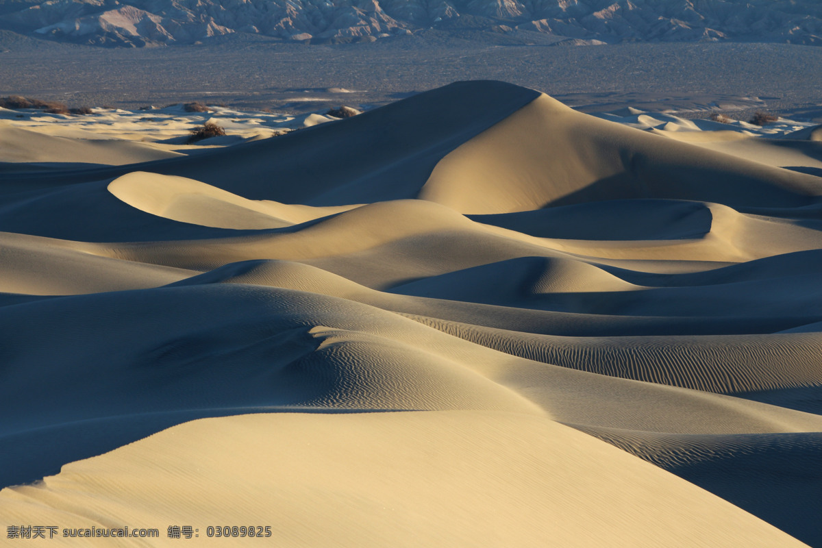 沙漠沙丘沙滩 沙漠 沙丘 沙滩 荒漠 沙土 沙丘影子 摄影图 自然景观 自然风景