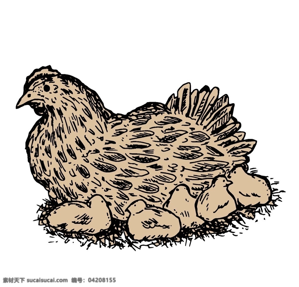 家养 动物 主题 插画 鸡鸭 山羊 牛 母鸡 牲口 复古插画 古典涂鸦 动物插画 家禽插画 动物养殖 家禽动物 动漫动画
