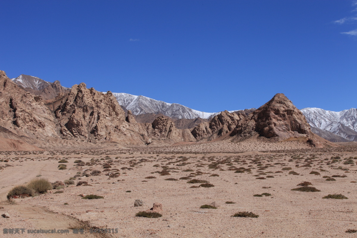 无人区戈壁 戈壁 雪山 蓝天 无人区 藏区 西藏风光 自然风景 旅游摄影 蓝色