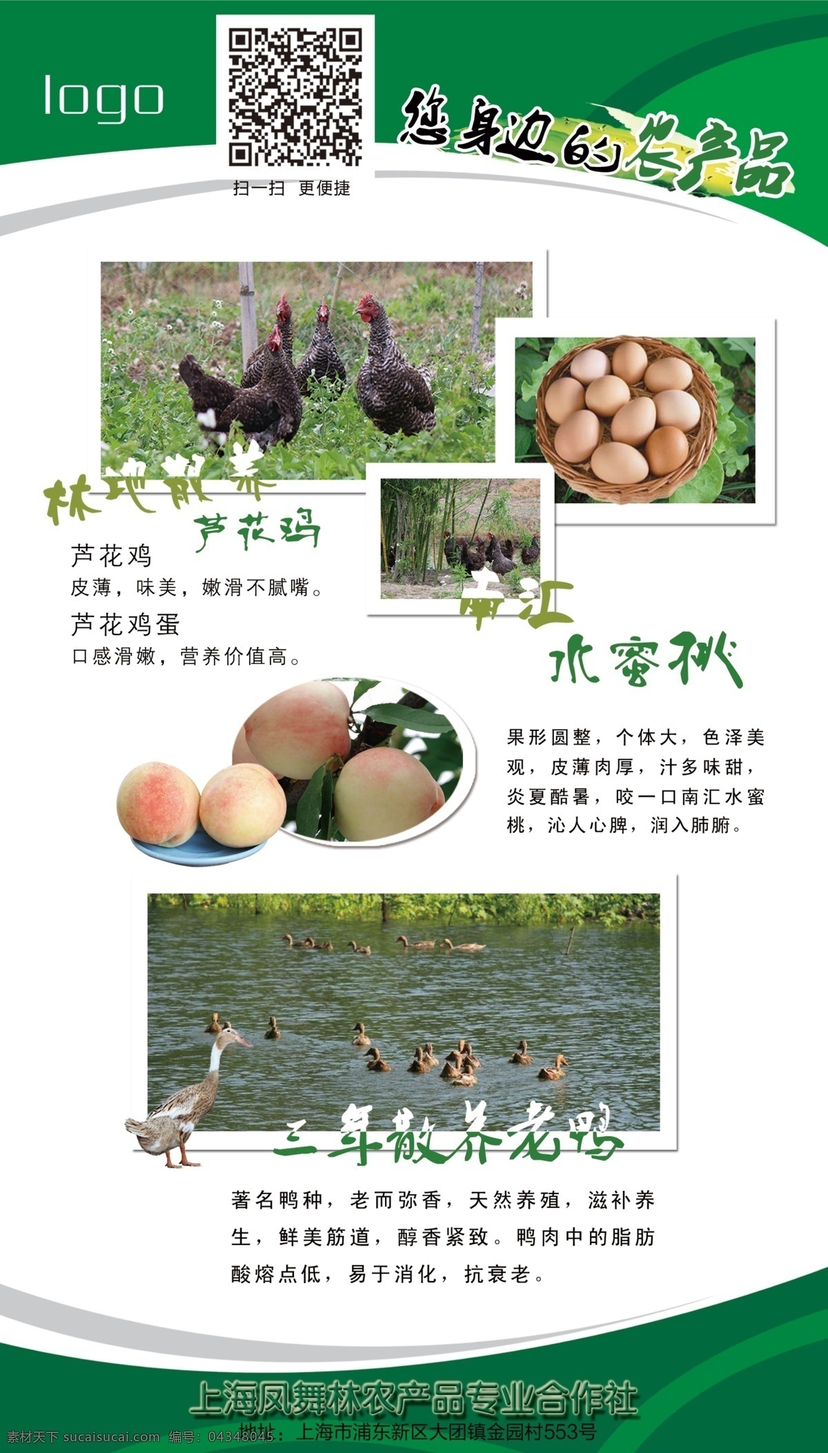 农产品 易拉宝 海报 农产品易拉宝 鸡蛋易拉宝 芦花鸡海报 合作社易拉宝 分层