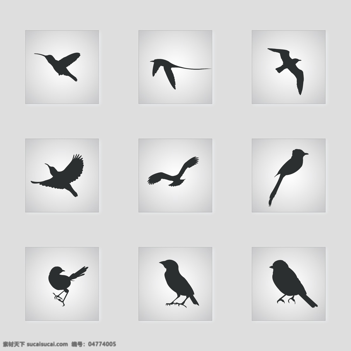 鳥 飛翔 矢量 剪影 集合 飛行 輪廓 生物世界 鳥類