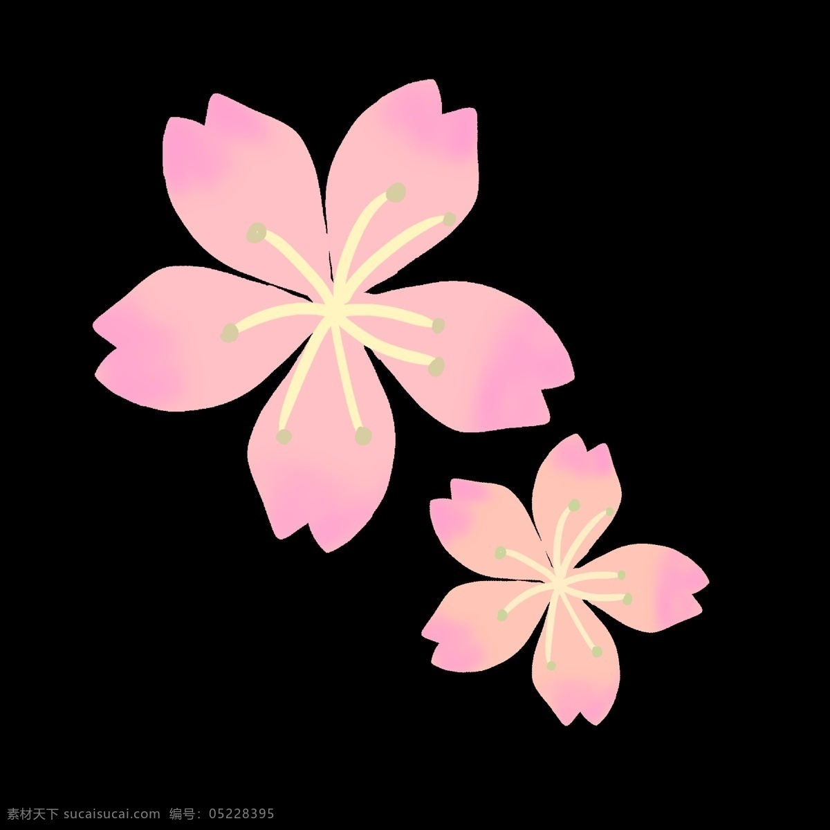 绽放 粉色 樱花 插画 粉色的樱花 美丽的樱花 绽放的樱花 卡通插画 樱花插画 花朵插画 鲜花插画