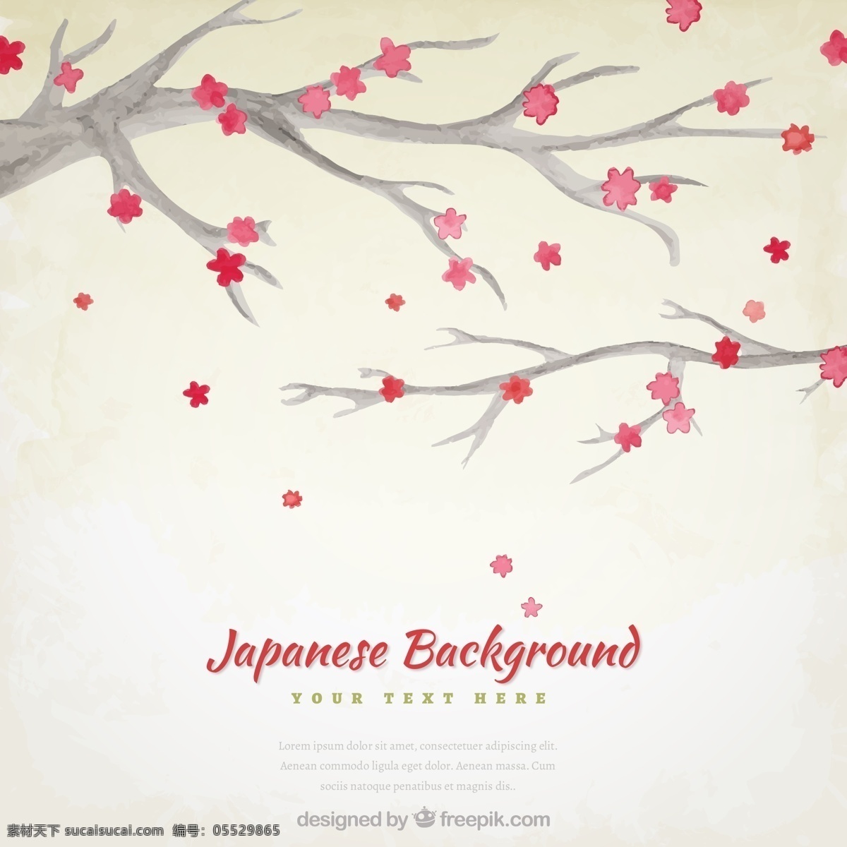 水彩 树枝 日本 花卉 背景 水彩树枝 日本花卉背景 花卉背景 日本花卉 樱花 白色