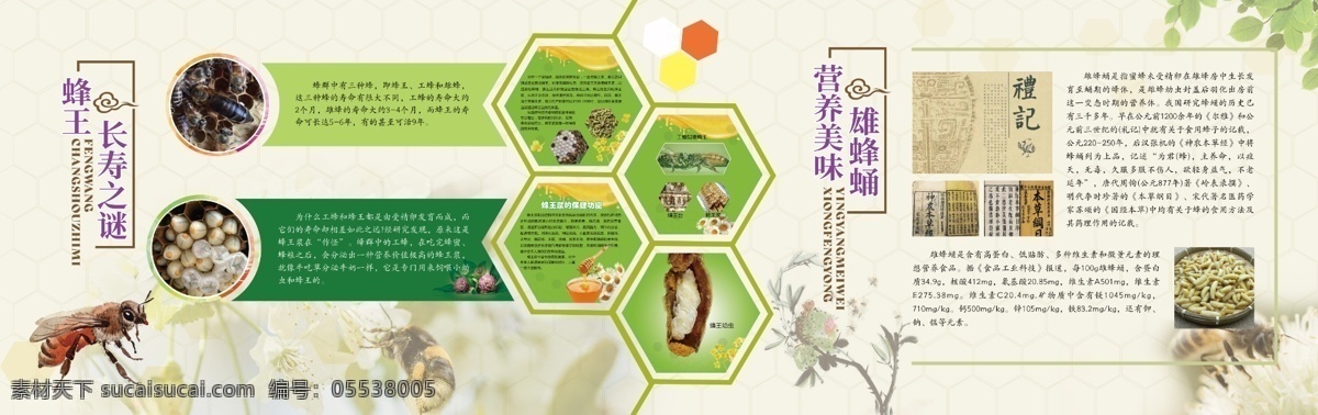 蜜蜂 文化 展廳 墻面 蜜蜂文化 展廳墻面 花 平面設(shè)計(jì) 采蜜 蜜蜂采蜜 蜜蜂知識(shí) 蜜蜂研究 蜜蜂文化展廳 蜂王 蜂蛹 文化形象墻