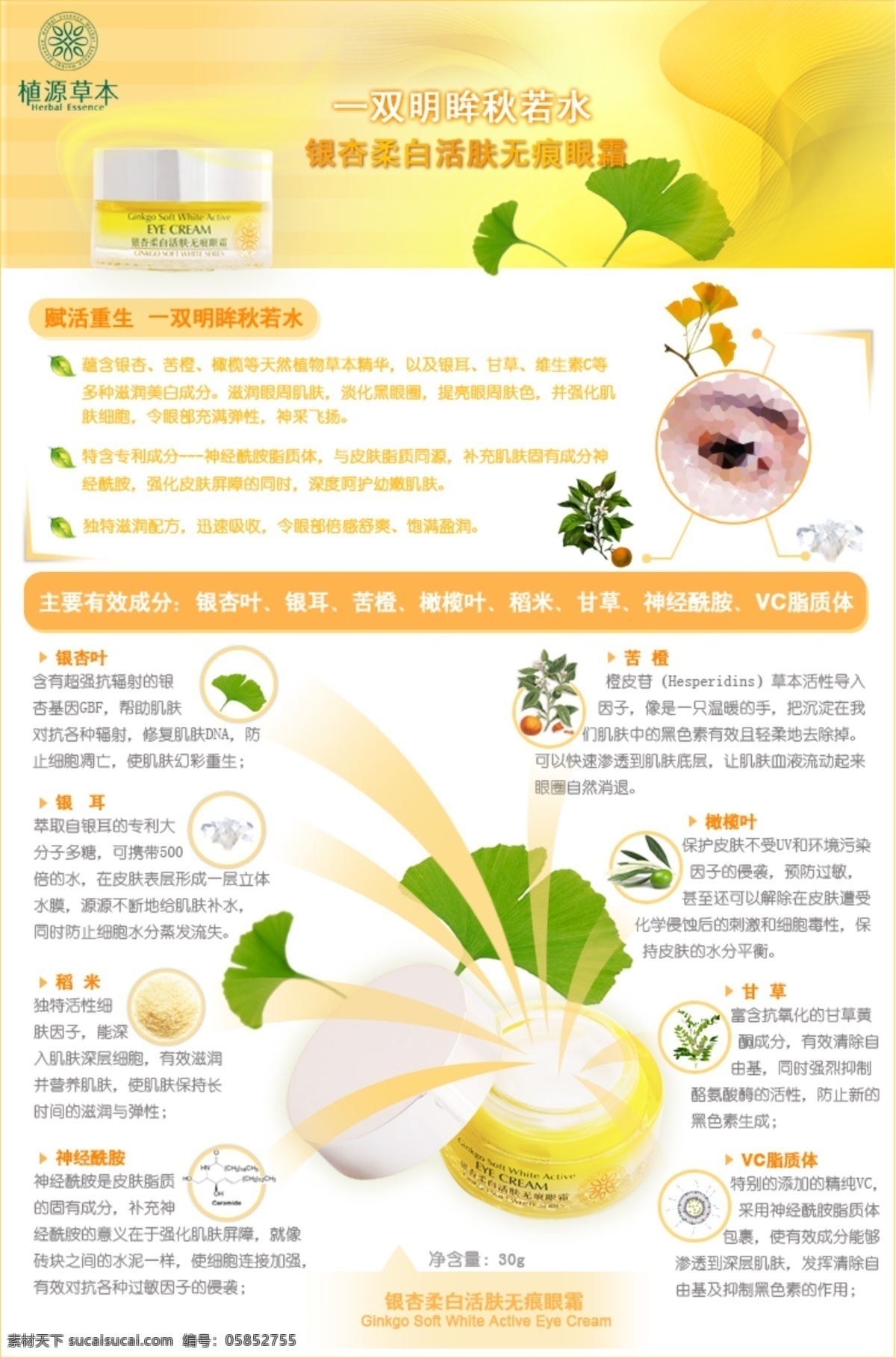 寶貝描述 化妝品 寶貝 描述 淘寶 網(wǎng)頁模板 葉子 銀杏 源文件 柔白 活膚 無 痕 眼霜 產(chǎn)品成分 植物 中文模版 淘寶素材 其他淘寶素材