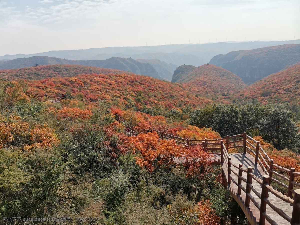秋天 风光 红叶 风景 黄叶 户外 自然 秋景 美景 山 旅游摄影 国内旅游