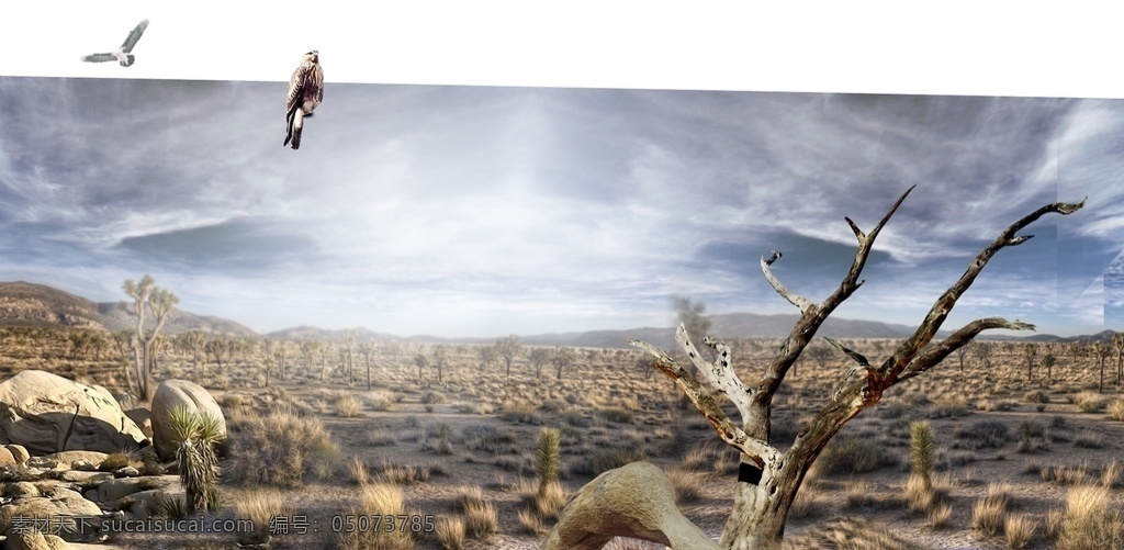 沙漠 秋天 自然景观图片 沙漠中的人 山 蓝天 脚印 分层