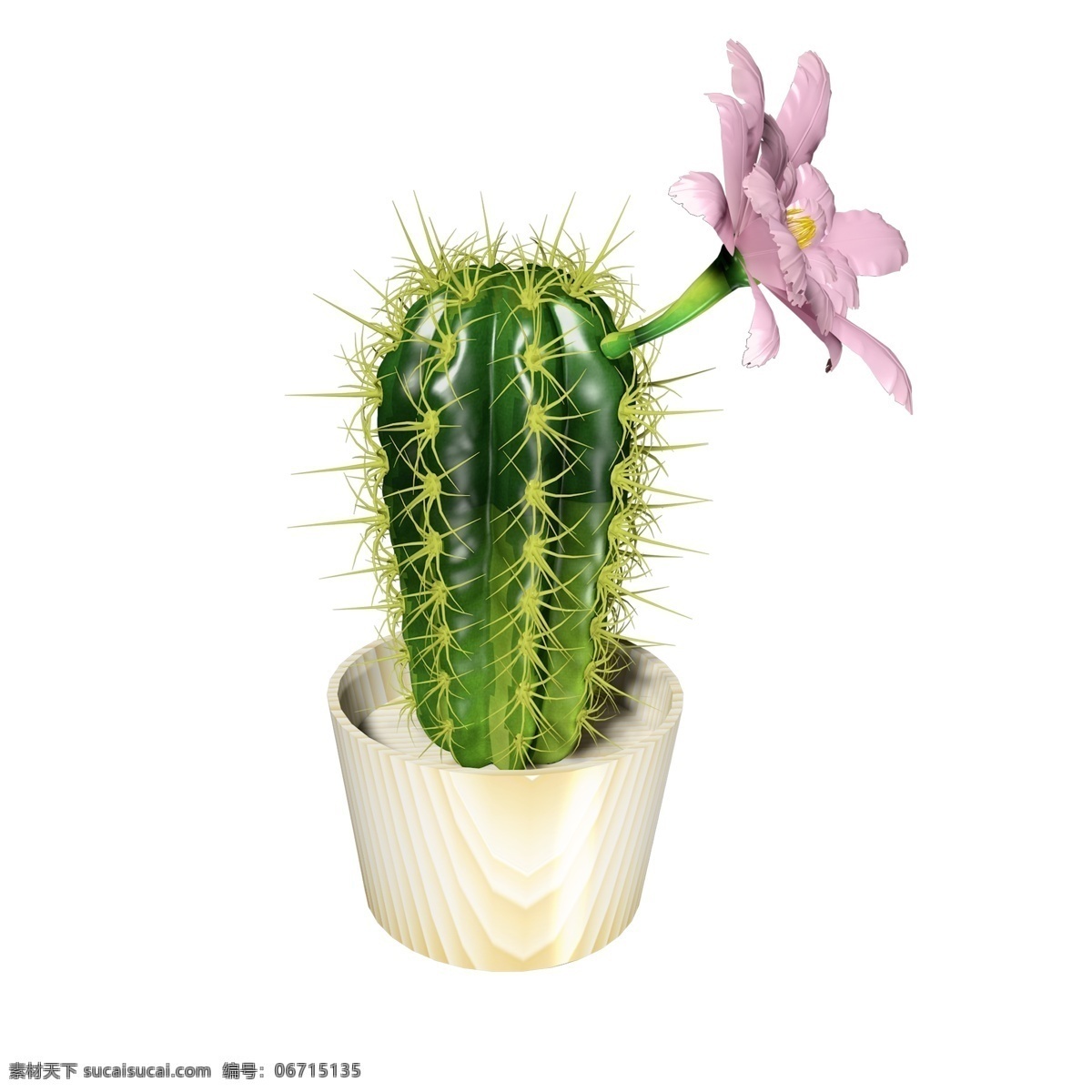 植物类 通用 元素 粉色 小花 仙人球 盆栽 植物 立体 写实 夏天