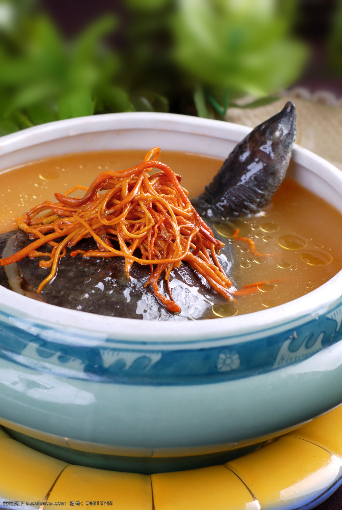 蟲草 花 燉 甲魚 蟲草花燉甲魚 美食 傳統(tǒng)美食 餐飲美食 高清菜譜用圖